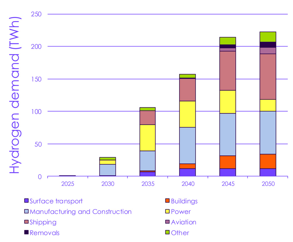 Hydrogen demands in the CCCs BNZ pathway up to 2050.
