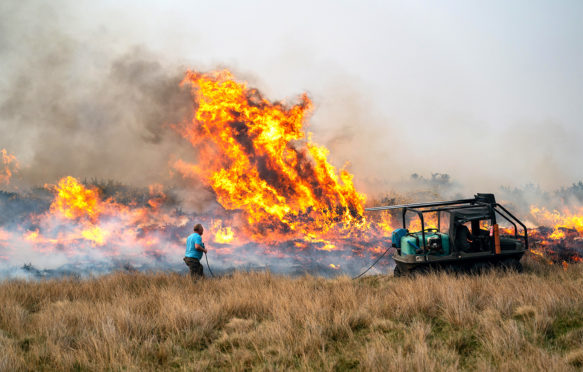Wildfire in Moray, Scotland, 23 April 2019. Credit: JASPERIMAGE / Alamy Stock Photo.
