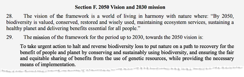 Section F of the Global Biodiversity Framework. Source: CBD