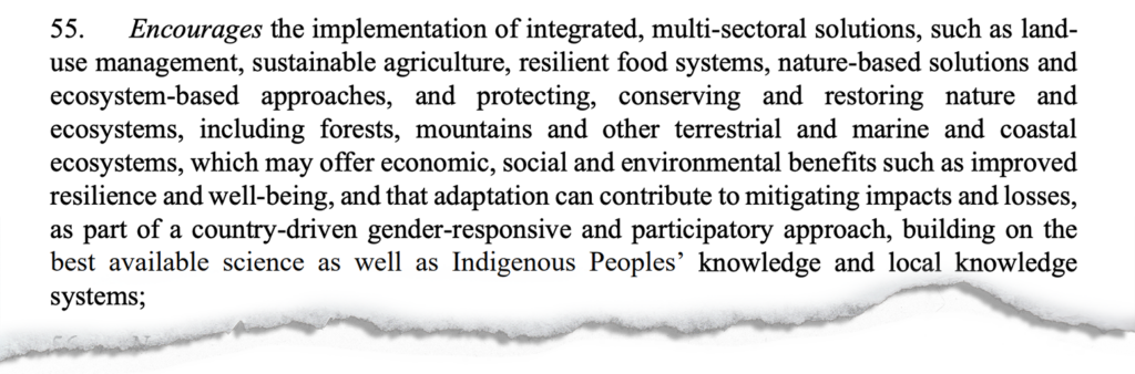 Section 55 of the first global stocktake text finalised at the COP28 climate talks in Dubai.