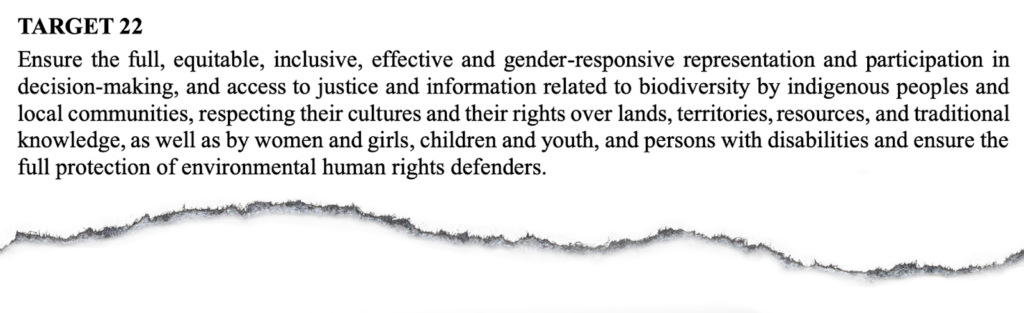 Target 22 of the Kunming-Montreal Global Biodiversity Framework also acknowledges the participation of women, girls, children and youth in decision-making.
